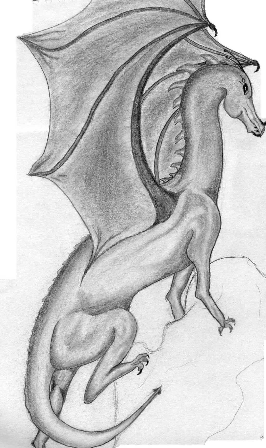 dragon picture